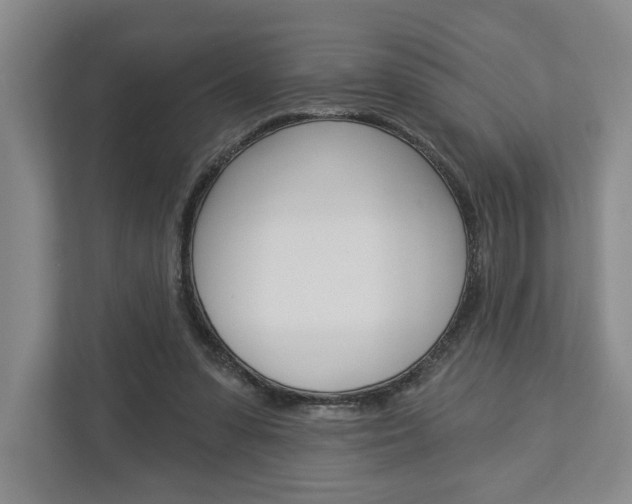 X0000113000303200908270925