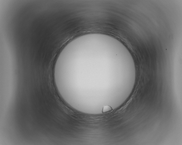 X0000113000305200908270925