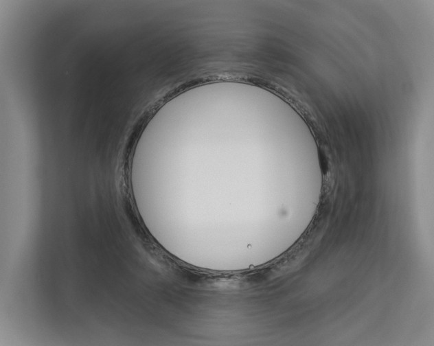 X0000113000306200908270925