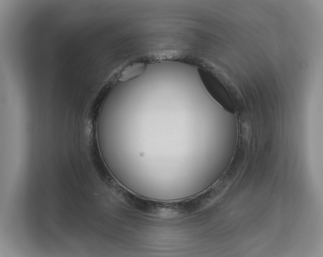 X0000113000308200908270925