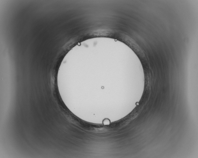 X0000113000309200908270925