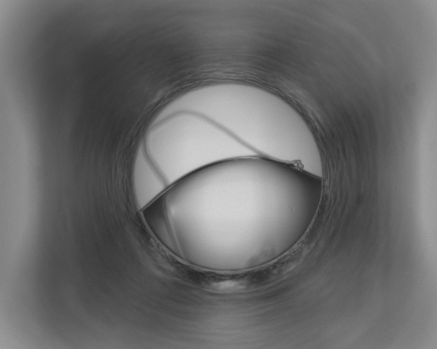 X0000113000312200908270925