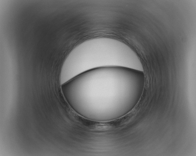 X0000113000316200908270925