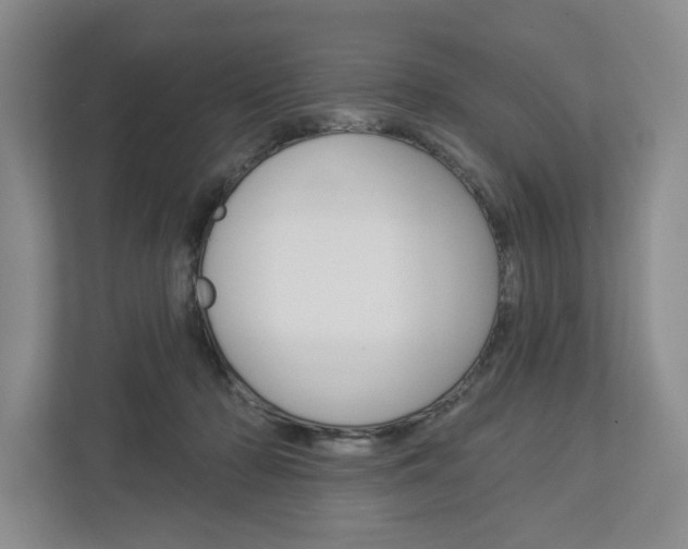 X0000113000318200908270925