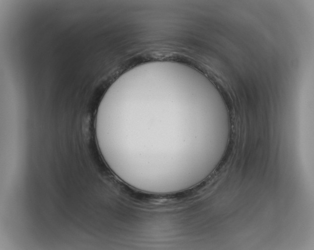 X0000113000319200908270925
