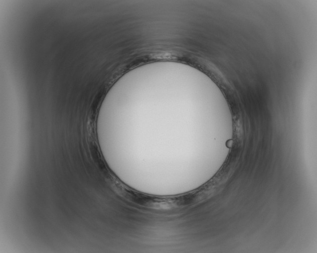 X0000113000322200908270925