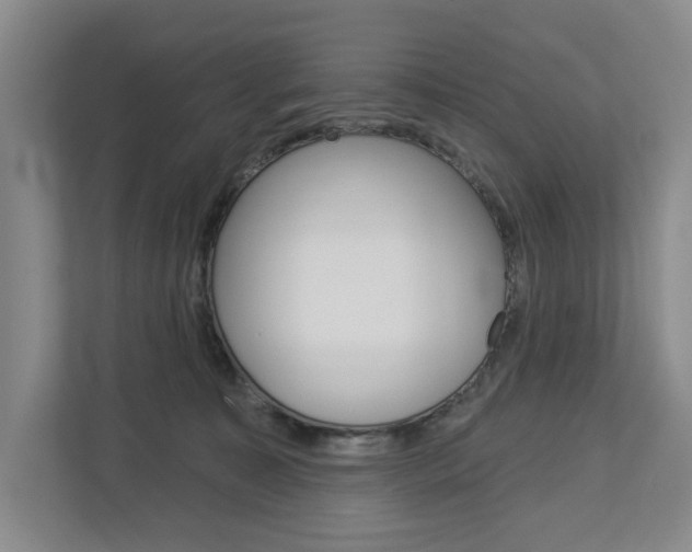 X0000113000323200908270925