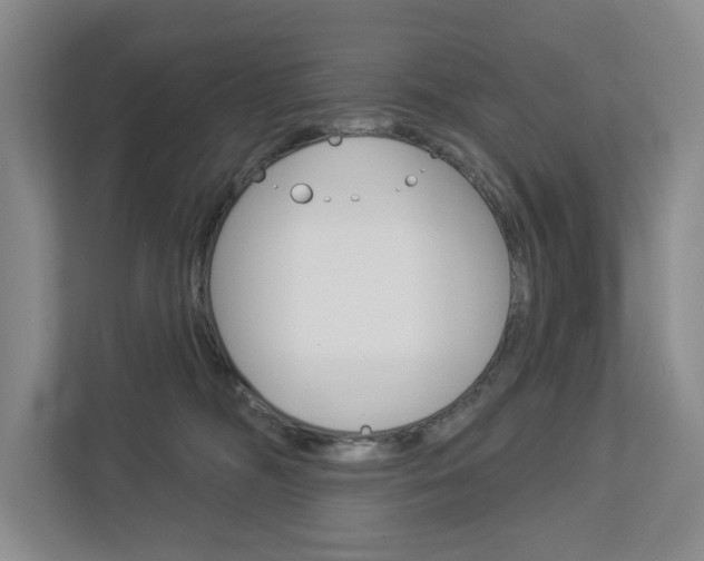 X0000113000326200908270925