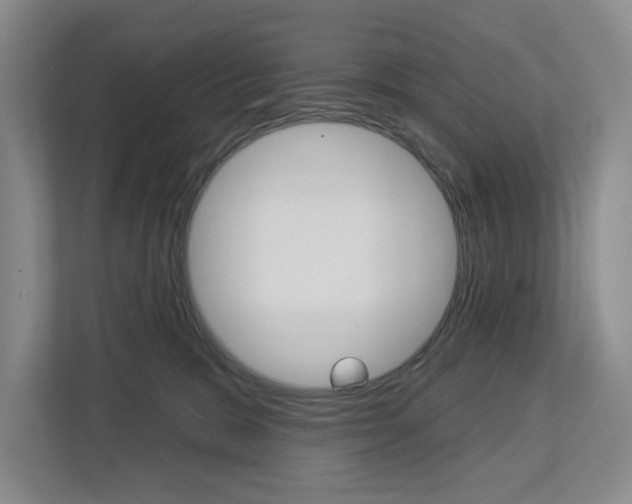 X0000113000327200908270925