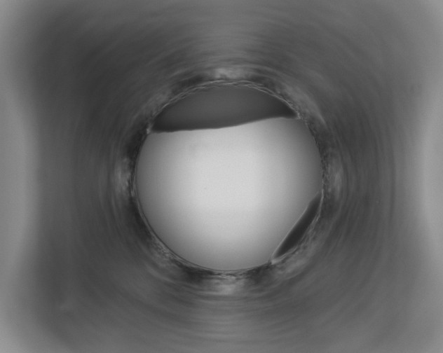X0000113000328200908270925