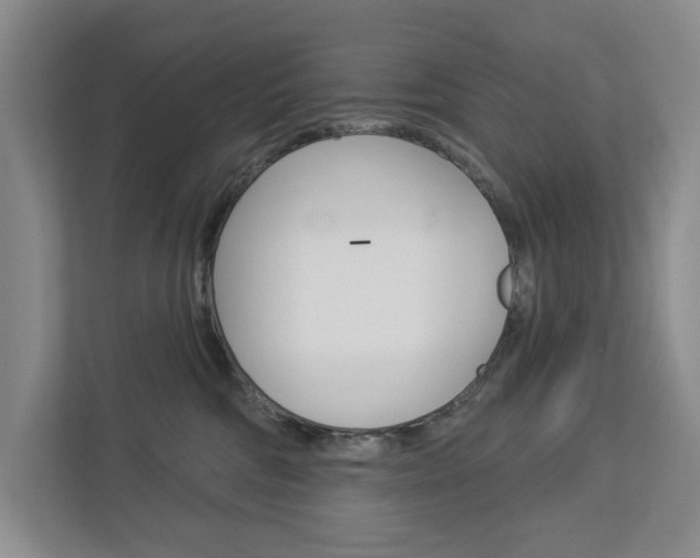 X0000113000330200908270925