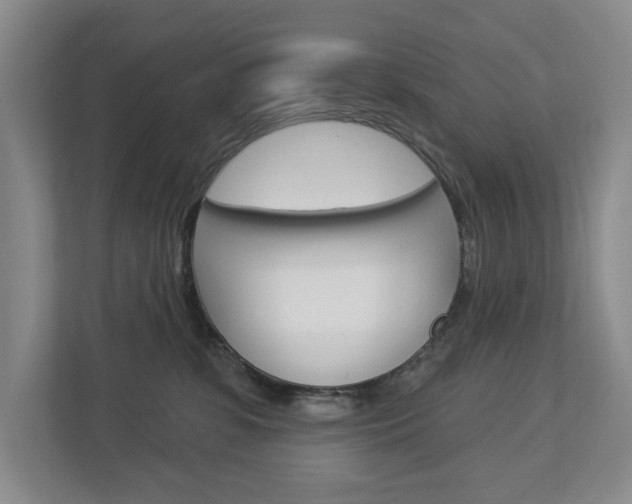 X0000113000331200908270925