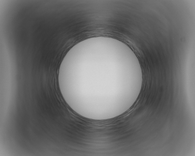 X0000113000333200908270924