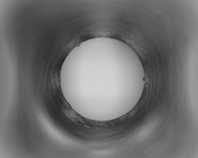 X0000113000334200908270924