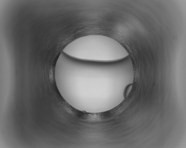 X0000113000335200908270924