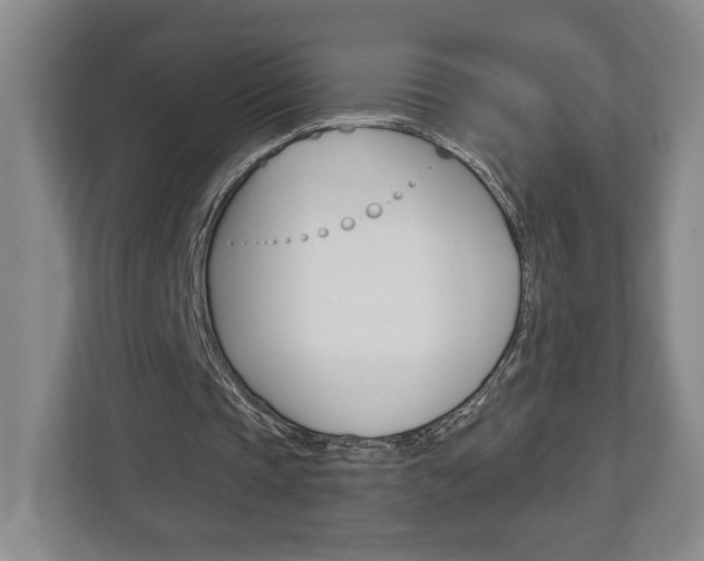 X0000113000337200908270924