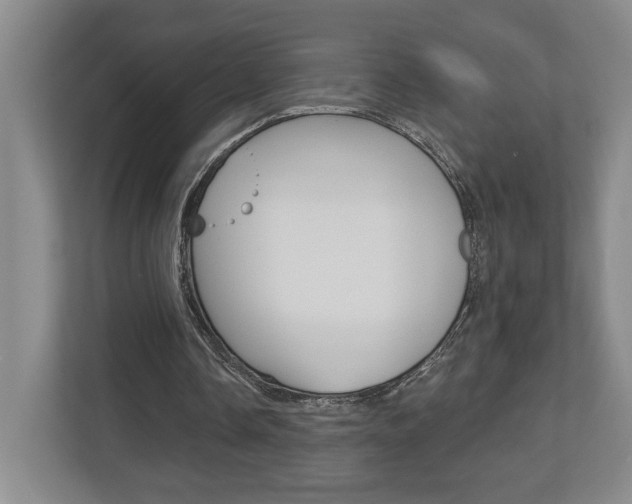 X0000113000338200908270924