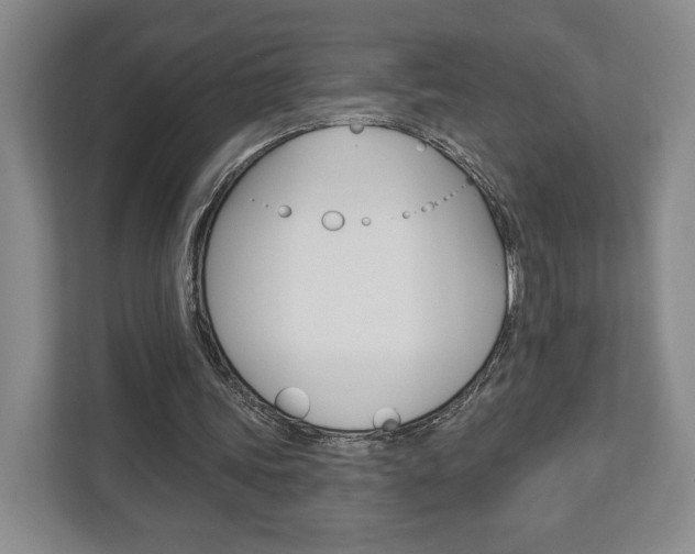 X0000113000339200908270924