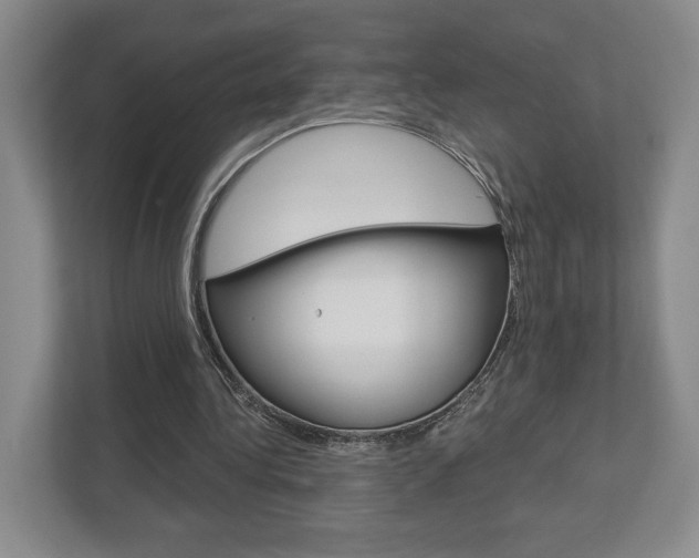 X0000113000340200908270924