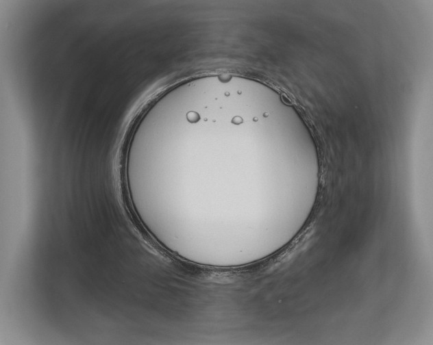 X0000113000341200908270924