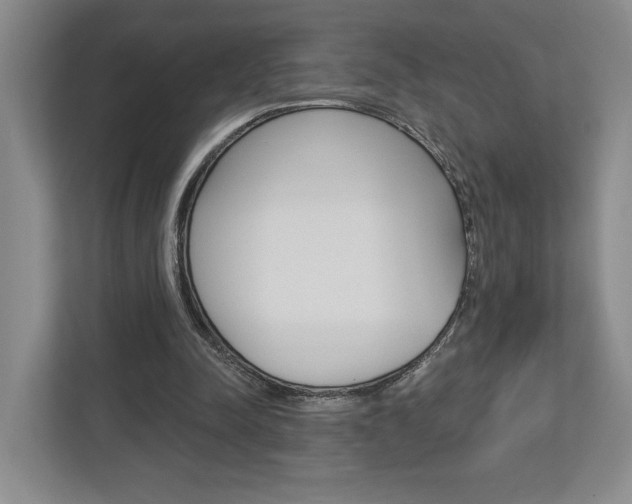 X0000113000342200908270924