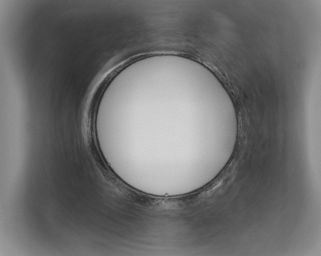 X0000113000343200908270924