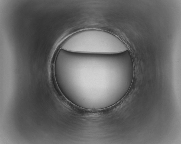X0000113000344200908270924