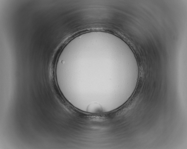 X0000113000347200908270924
