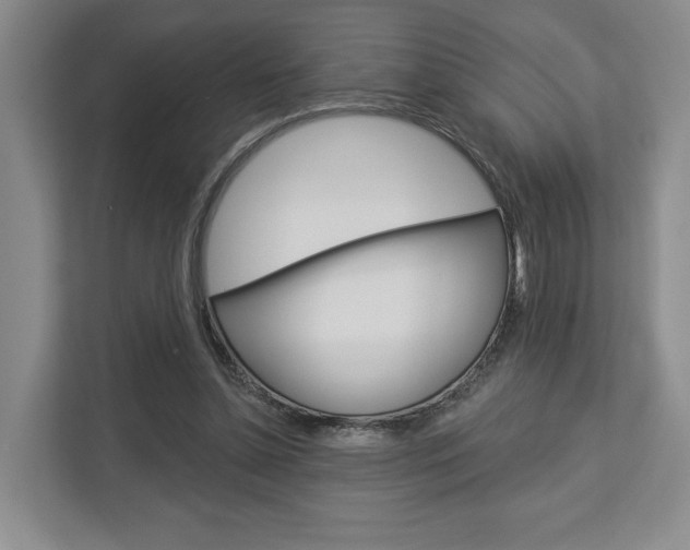 X0000113000348200908270924