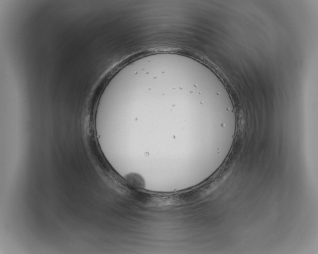 X0000113000351200908270924