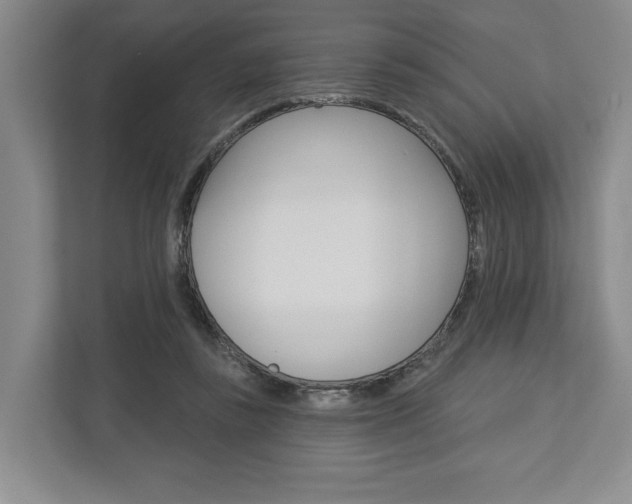X0000113000355200908270924