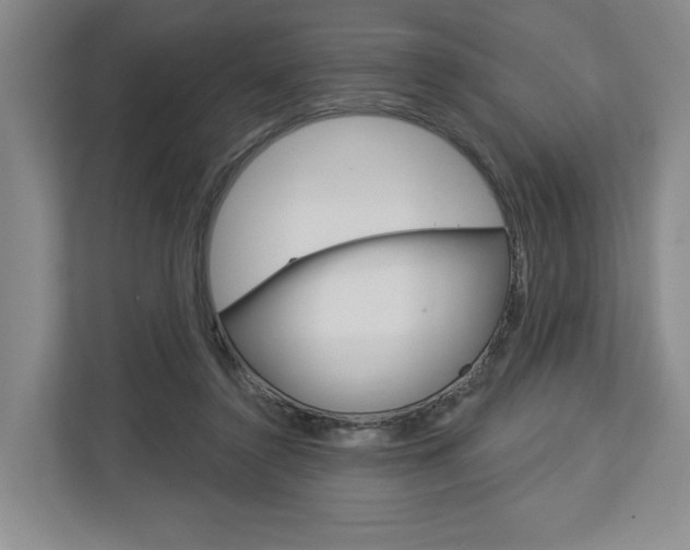 X0000113000356200908270924