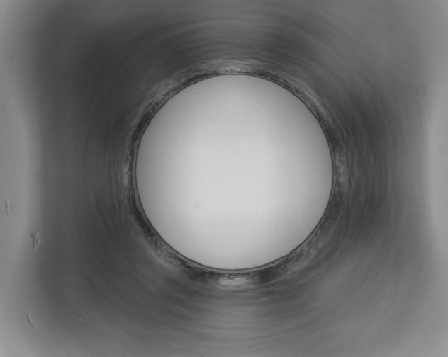 X0000113000357200908270924