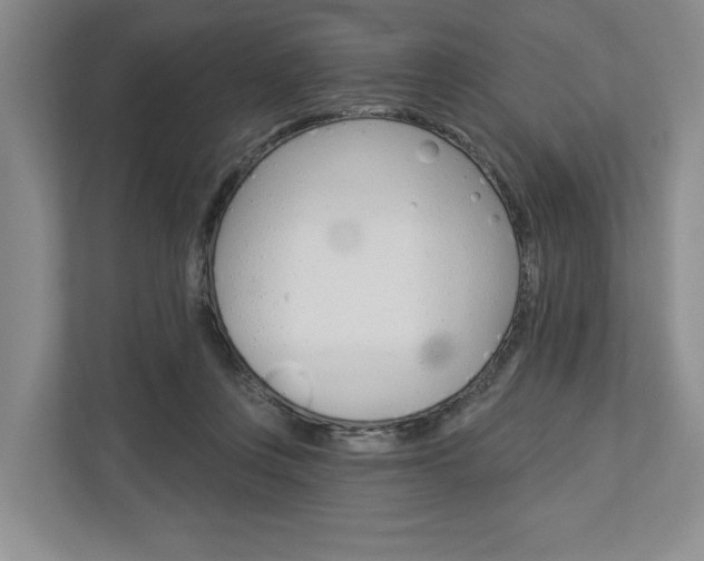 X0000113000359200908270924