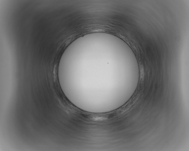 X0000113000360200908270924