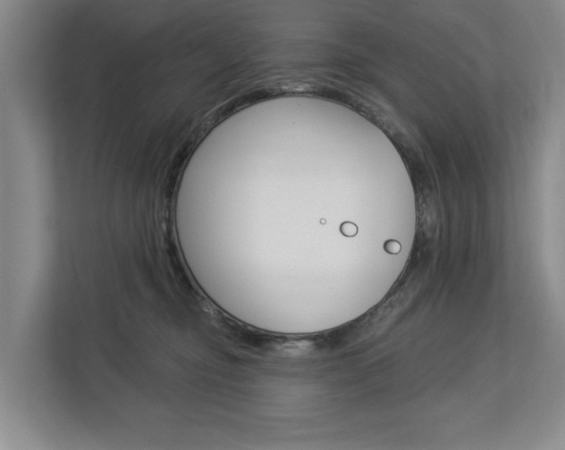X0000113000374200908270924