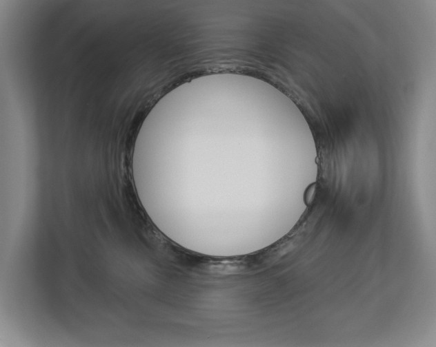 X0000113000378200908270924
