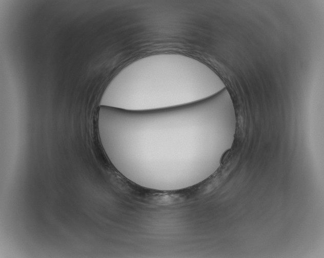 X0000113000379200908270924