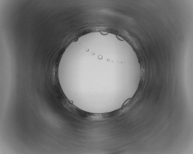 X0000113000381200908270924