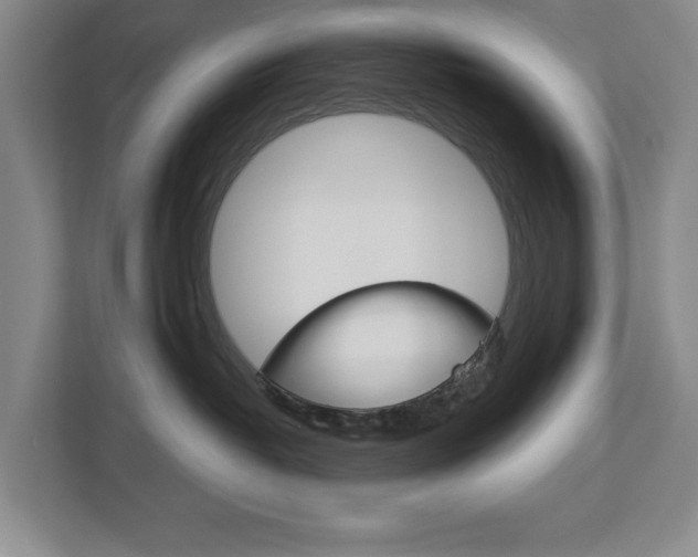 X0000113000382200908270924