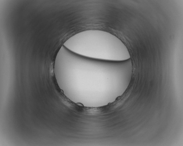 X0000113000383200908270924