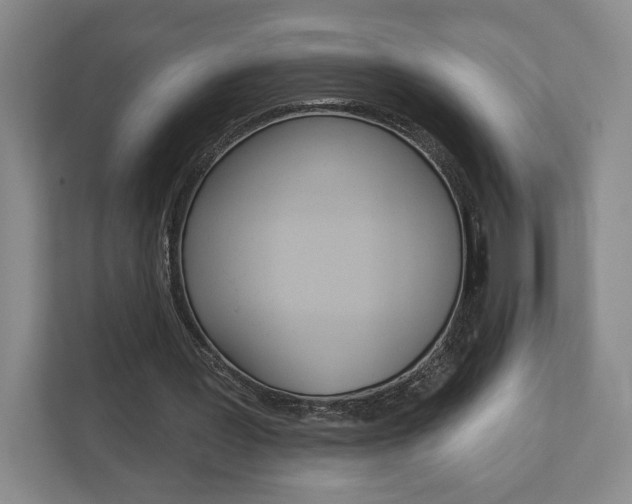 X0000113000387200908270924