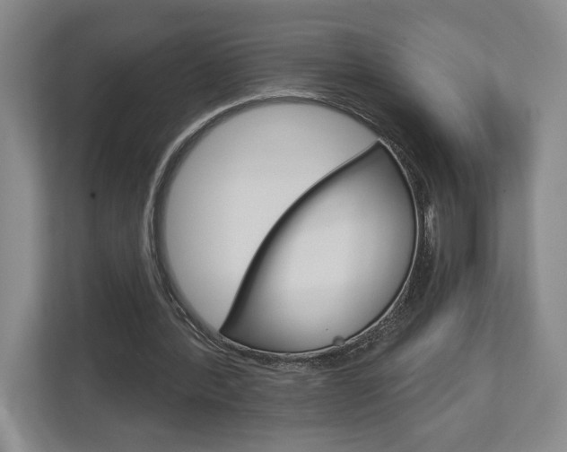 X0000113000388200908270924