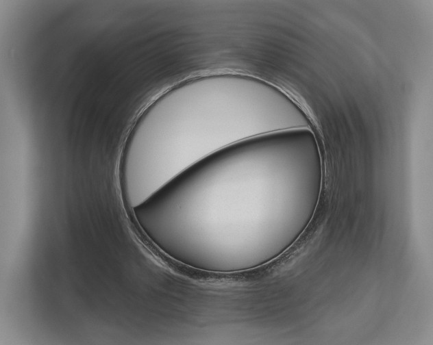 X0000113000389200908270924