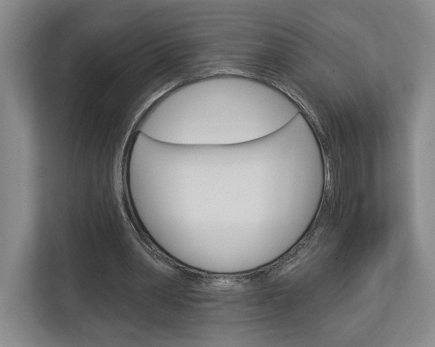 X0000113000390200908270924