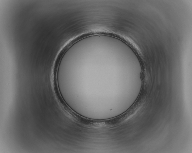 X0000113000391200908270924