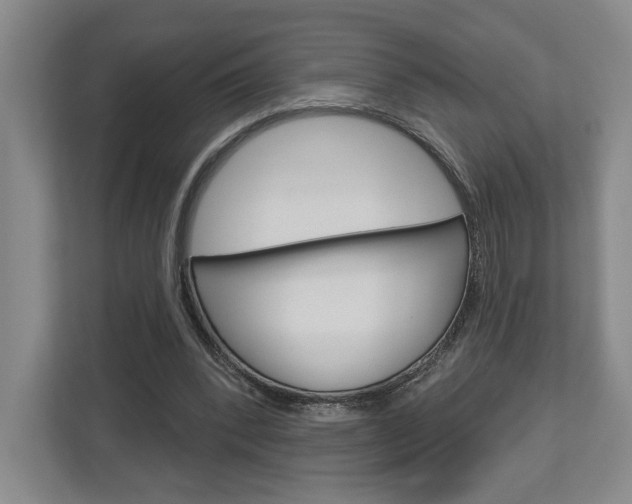 X0000113000392200908270924