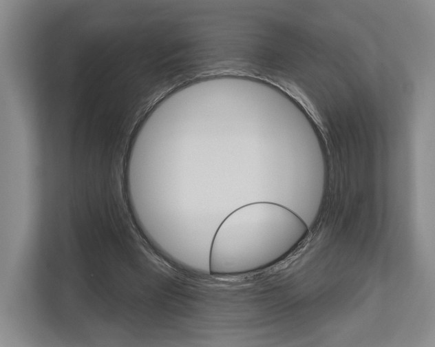 X0000113000393200908270924