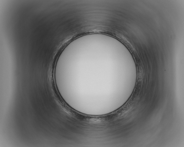X0000113000394200908270924