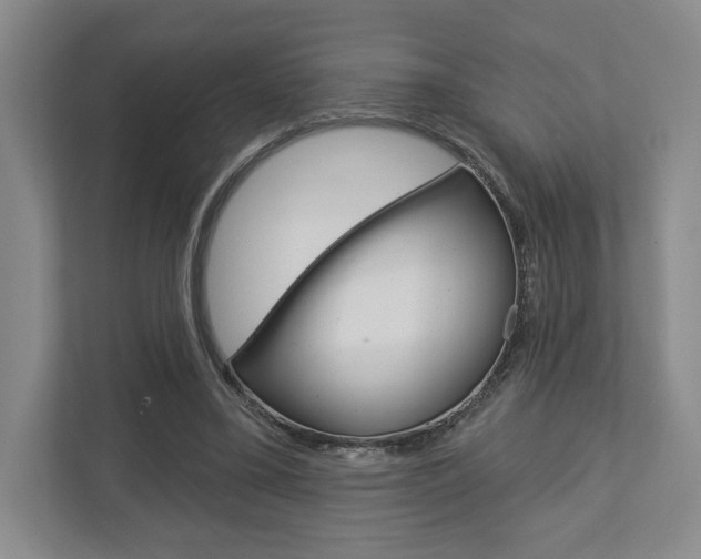 X0000113000395200908270924
